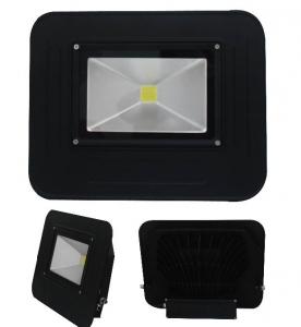 LED 100W投射燈