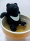 台湾黑熊的泡茶器具